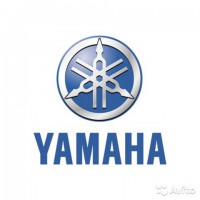 шестерня YAMAHA 5NL1725110 YZ250F 04-09 - motochief.ru интернет-магазин мототехники 