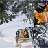 зима уже скоро - motochief.ru интернет-магазин мототехники 